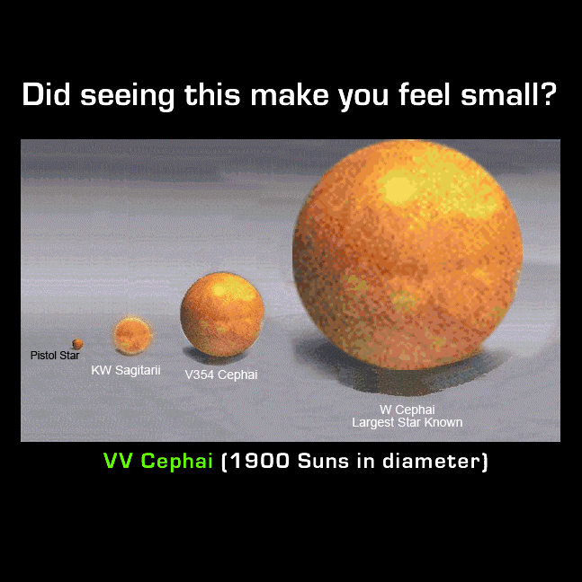 1267475736076.gif