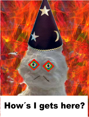Avatar for maicat.jpg