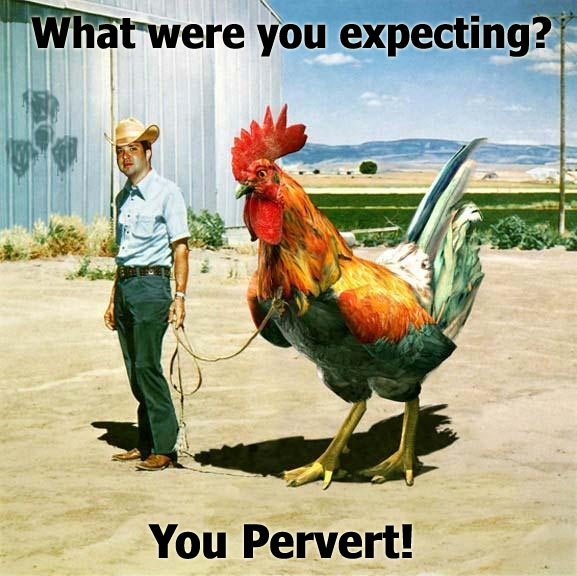 chris_friedrichs_has_a_huge_cock.jpg