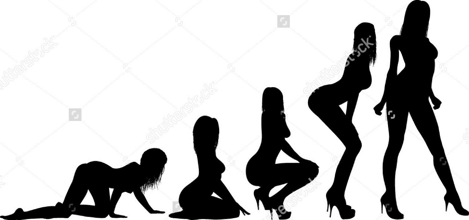 darwin-s-theory-of-evolution-91561283.jpg