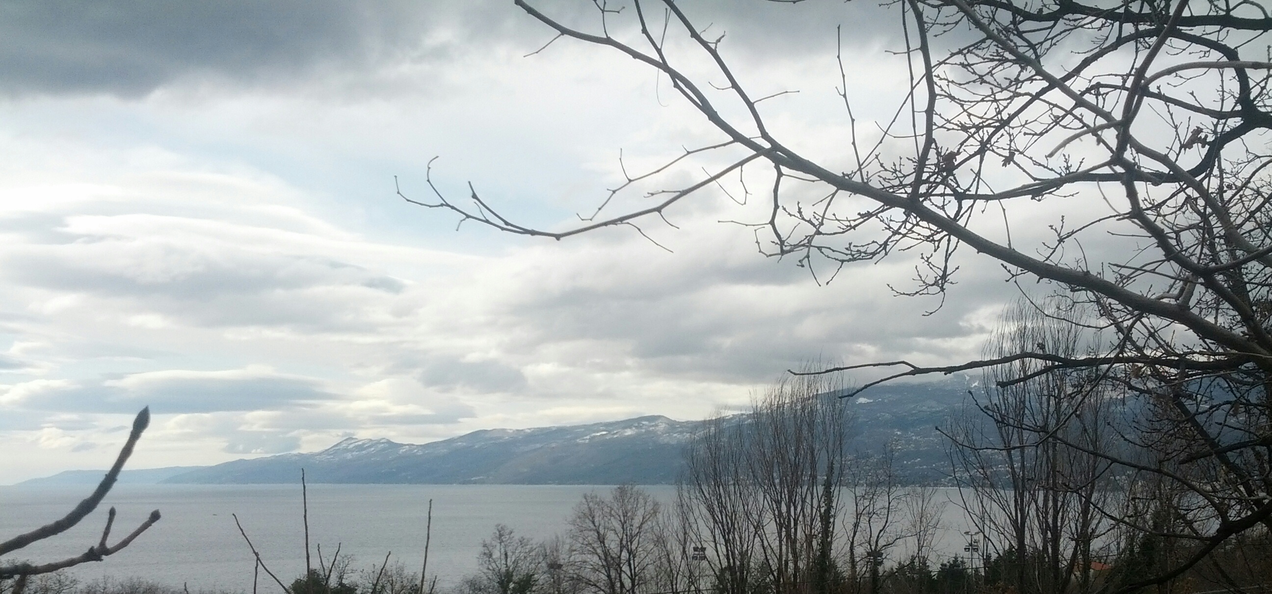 IMG_20130227_123717.JPG
